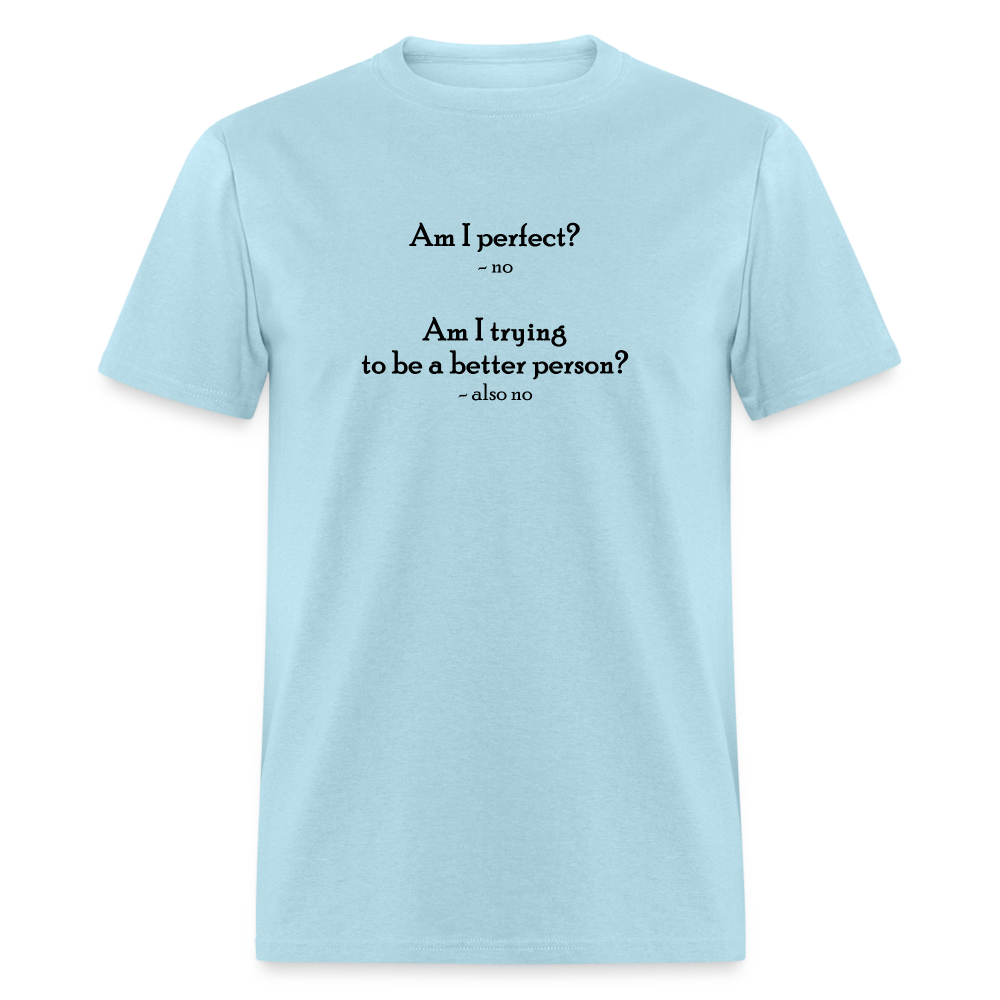 Am I Perfect T-Shirt - powder blue