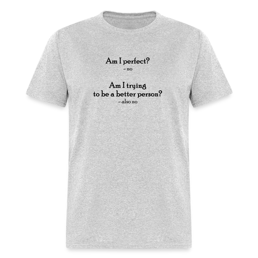 Am I Perfect T-Shirt - heather gray